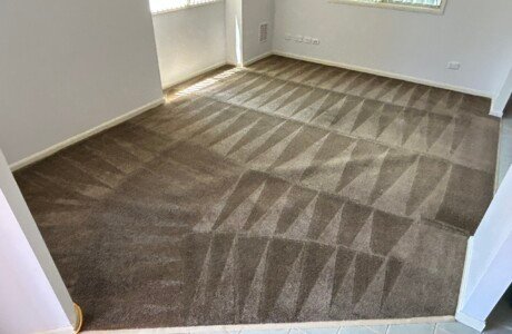 Carpet Cleaning Service