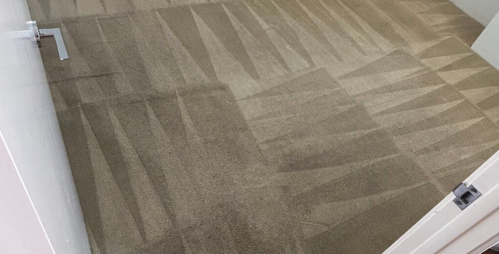 What are the Steps in Commercial Carpet Cleaning for Cinemas?