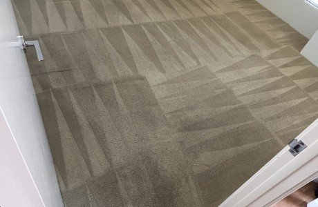 What are the Steps in Commercial Carpet Cleaning for Cinemas?